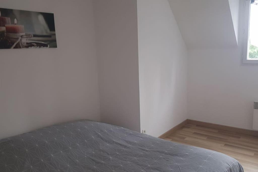 Logement Plein Centre De Plerin A Proximite Des Plages Et Des Commerces Eksteriør billede