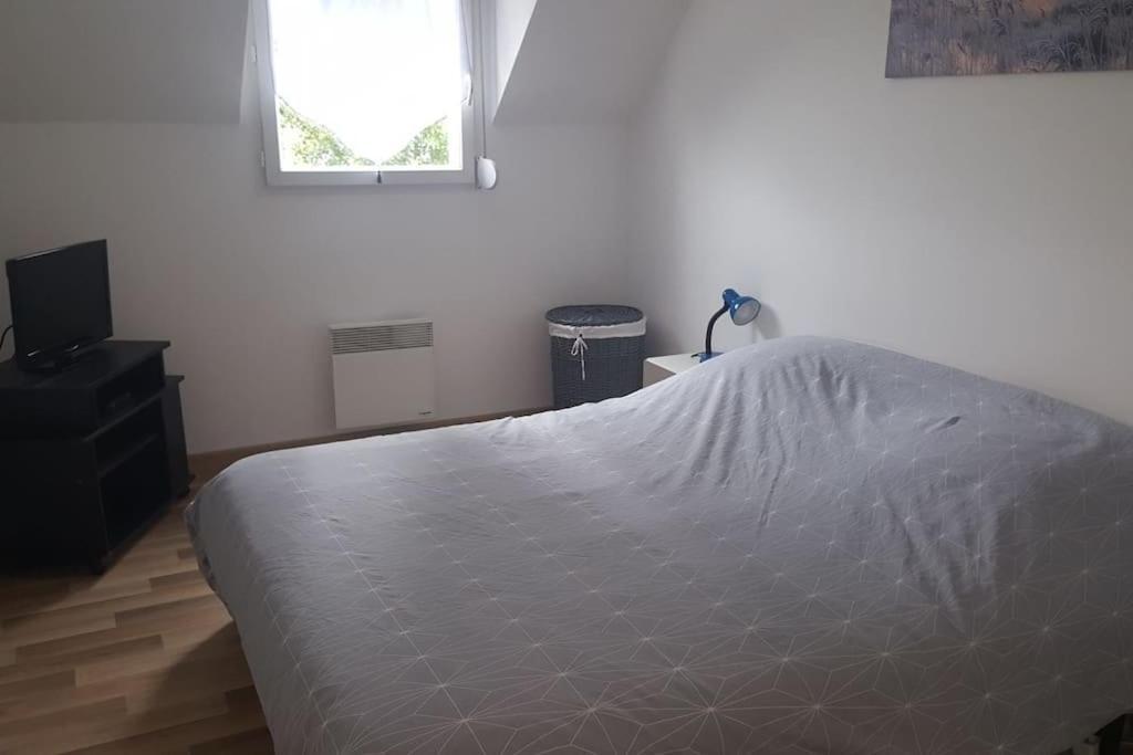 Logement Plein Centre De Plerin A Proximite Des Plages Et Des Commerces Eksteriør billede